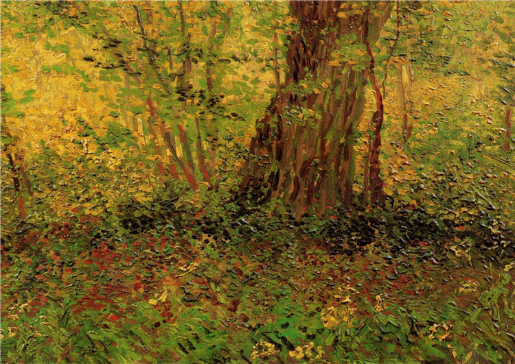 Undergrowth 1887 Vincent Willem Van Gogh Oil Painting